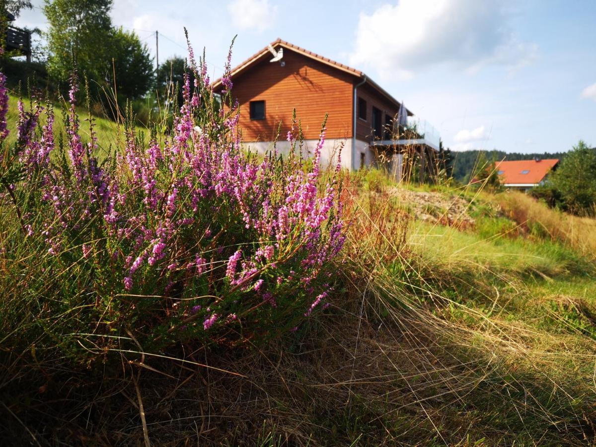 Chalet à L'Orée du Bois Le Tholy Esterno foto